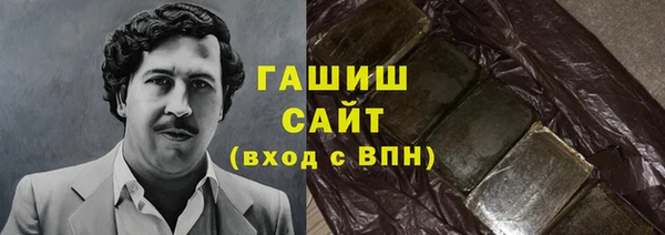 шишки Белокуриха