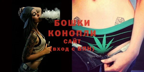 шишки Белокуриха