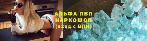 стаф Богородицк