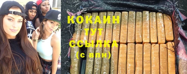 стаф Богородицк