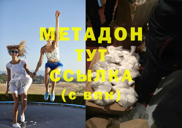 шишки Белокуриха