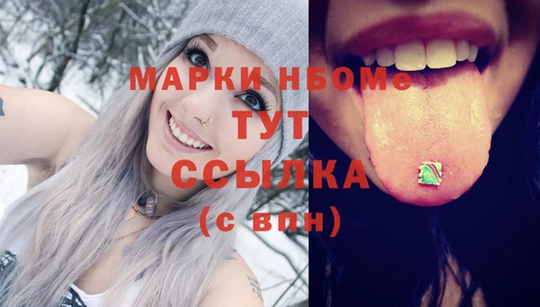 стаф Богородицк