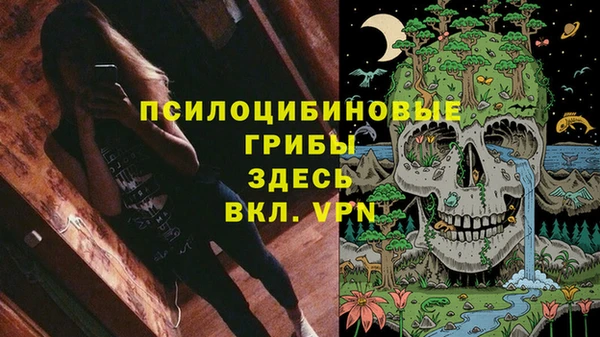 шишки Белокуриха
