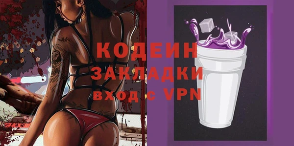 шишки Белокуриха