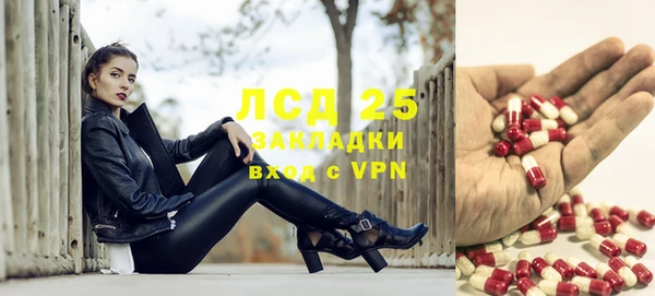 стаф Богородицк