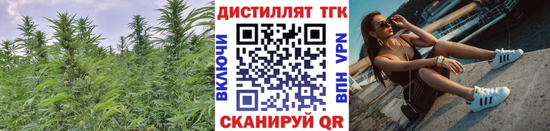 ТГК концентрат  Ковдор 