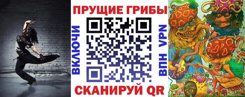 Галлюциногенные грибы Psilocybe  Ковдор 
